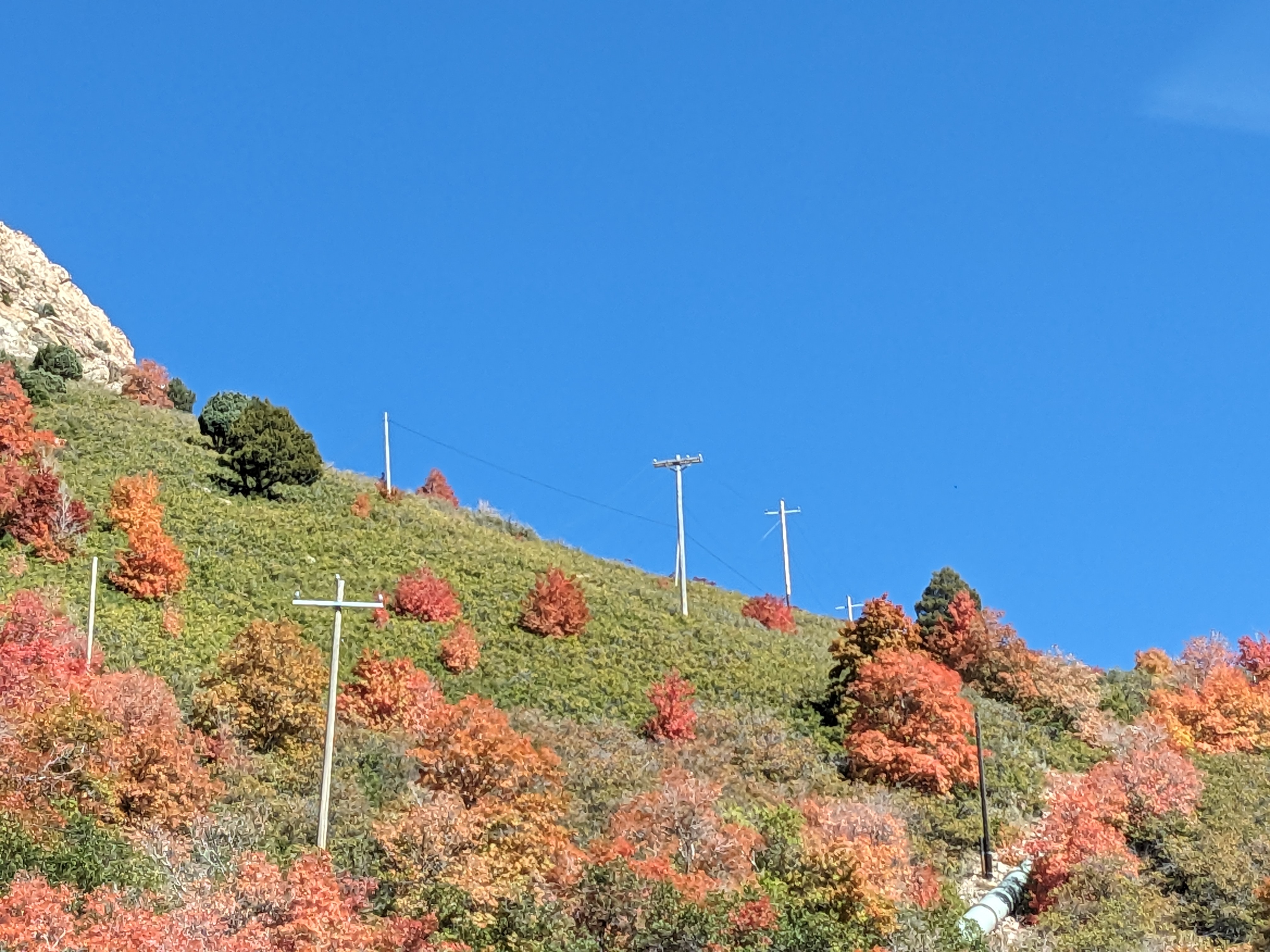 autumn hillside