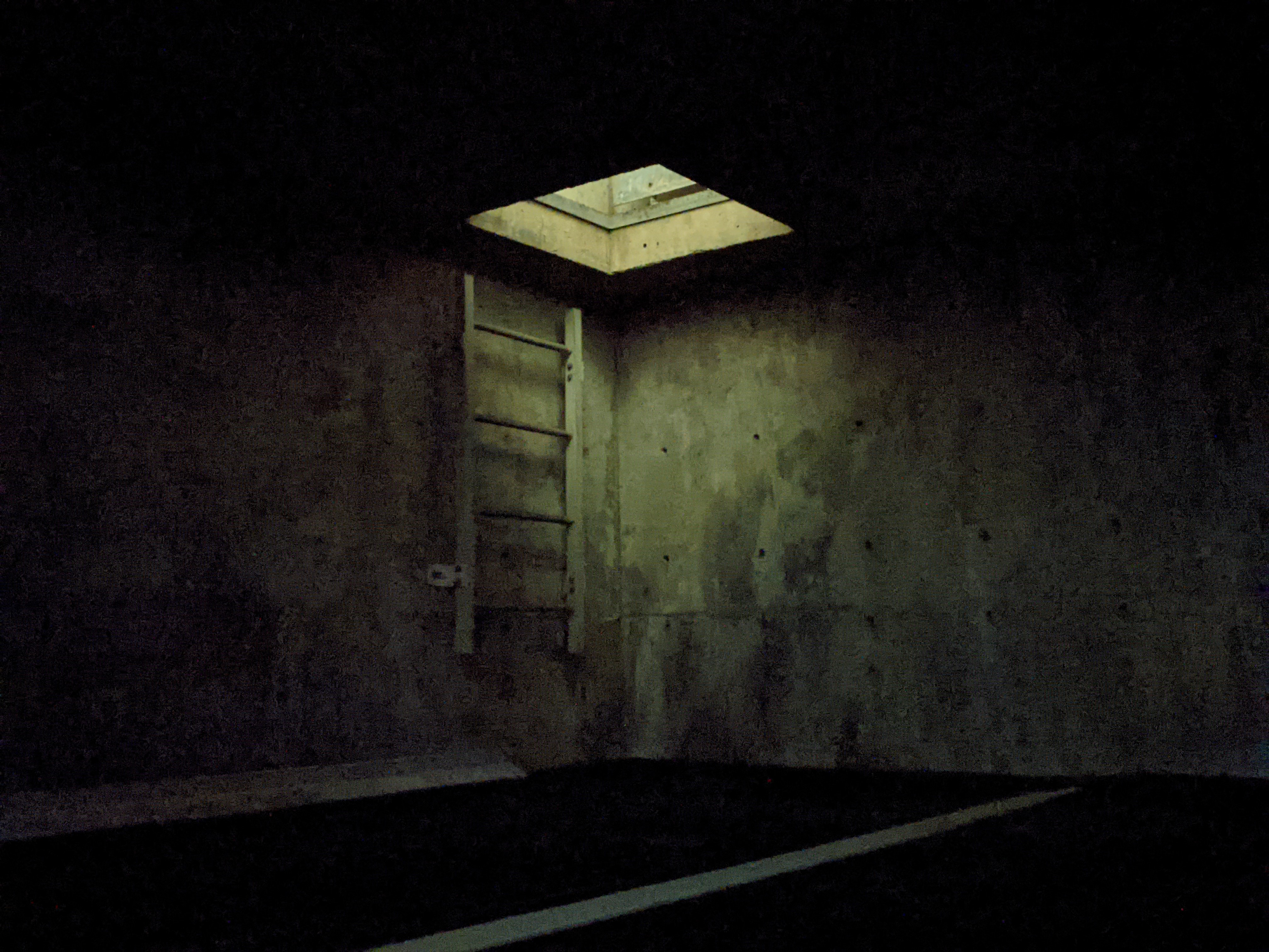 ladder in darkness