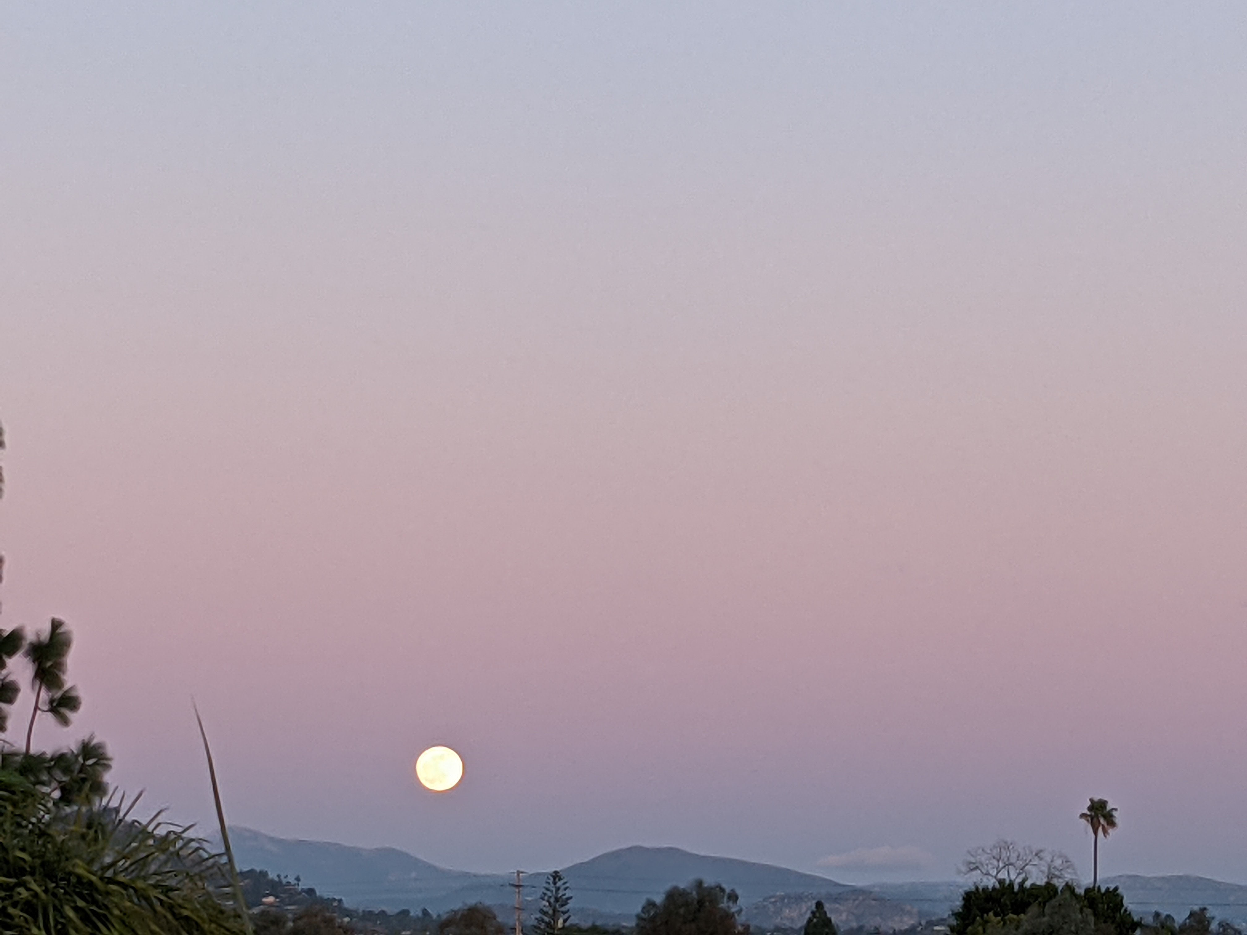 yellow moon at dusk